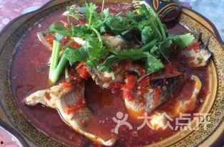 罗非鱼邻居爆料视频,揭秘水下生活点滴